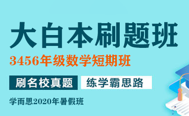 【合集完结】学儿思大白本-3,4,5,6年级数学短期班暑假数学大白本刷题班（暑假）MP4视频PDF讲义高中-初中-小学-大学等各类学习资源祝你学霸