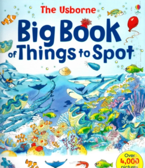 数学游戏书《The Usborne Big Book of Things to Spot》共1册PDF高中-初中-小学-大学等各类学习资源祝你学霸